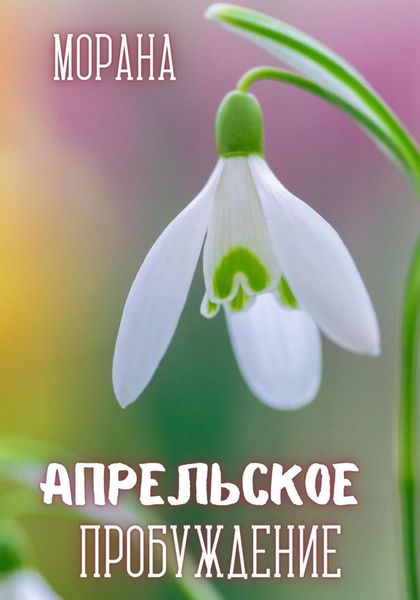 Обложка книги  «Апрельское пробуждение»