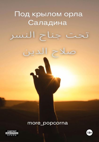 Обложка книги «Под крылом орла Саладина»