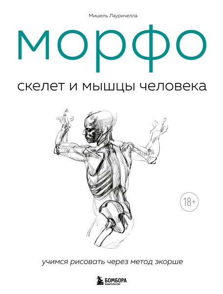 Обложка книги  «МОРФО. Скелет и мышцы человека. Анатомия для художников»