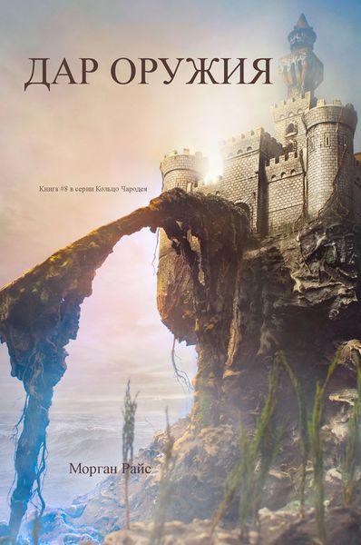 Обложка книги  «Дар оружия»