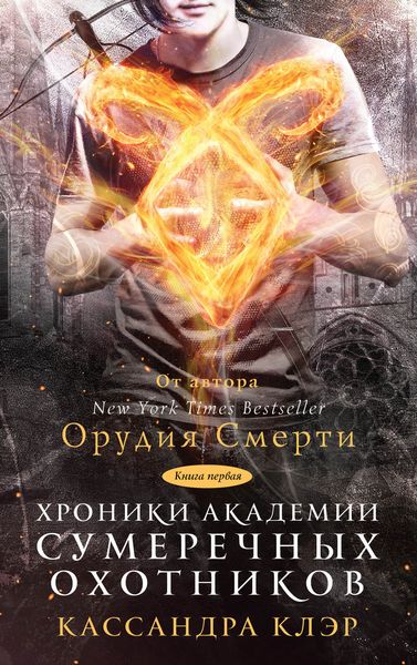 Обложка книги  «Хроники Академии Сумеречных охотников. Книга I»