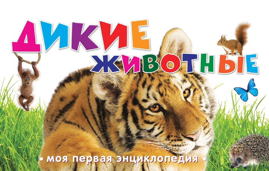 Обложка книги  «Дикие животные»