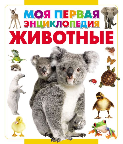 Обложка книги  «Животные»