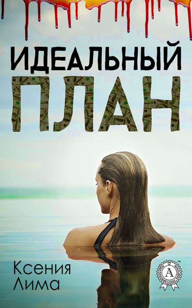Обложка книги  «Идеальный план»