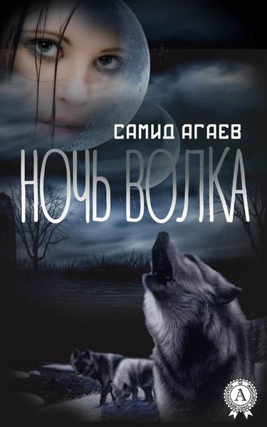 Обложка книги  «Ночь Волка»