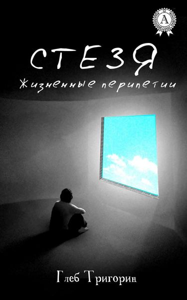 Обложка книги  «Стезя. Жизненные перипетии»