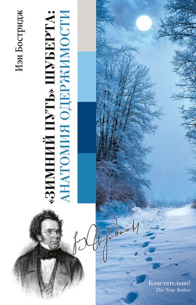 Обложка книги  ««Зимний путь» Шуберта: анатомия одержимости»