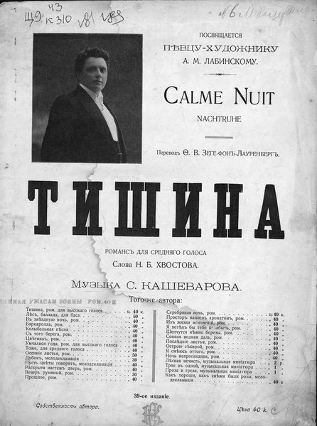 Обложка книги  «Тишина»
