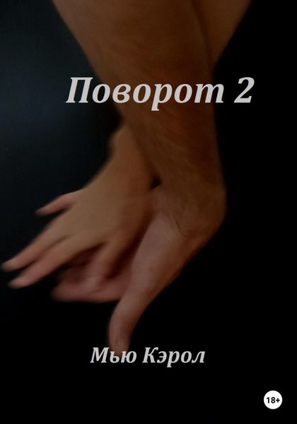 Обложка книги  «Поворот 2»