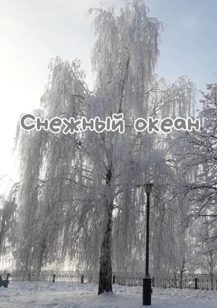 Обложка книги  «Снежный океан»