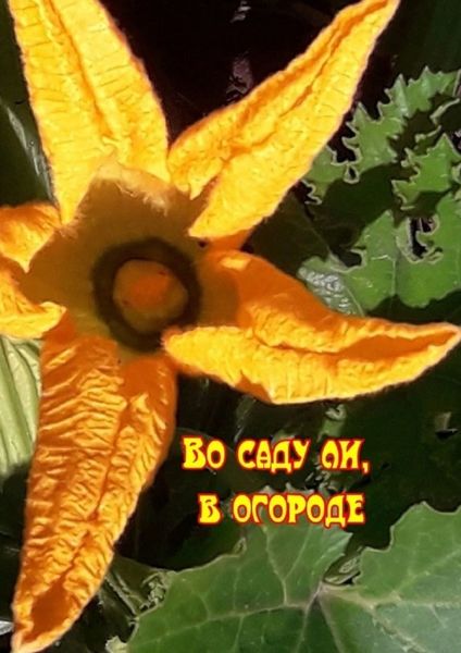 Обложка книги  «Во саду ли, в огороде»