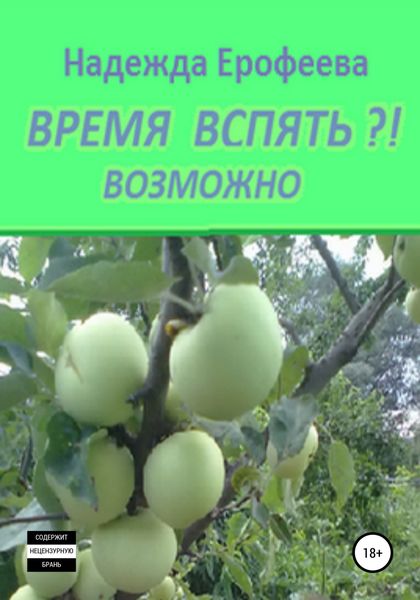 Обложка книги  «Время вспять?! Возможно»