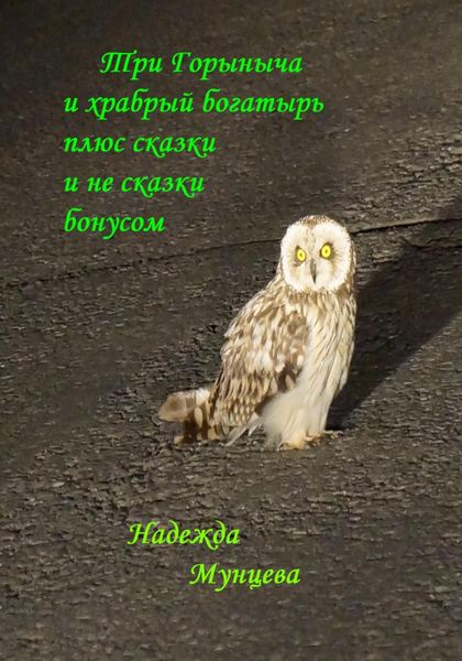 Обложка книги  «Три Горыныча и храбрый богатырь плюс сказки и не сказки бонусом»