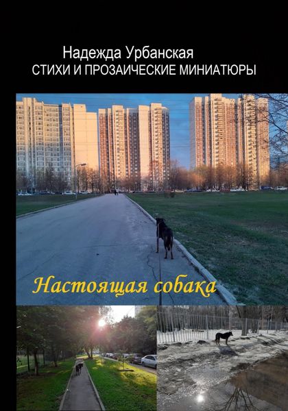 Обложка книги  «Настоящая собака»