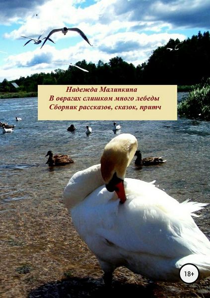 Обложка книги «В оврагах слишком много лебеды…»