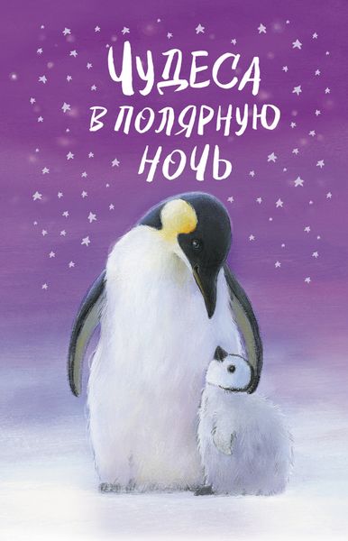 Обложка книги «Чудеса в полярную ночь»