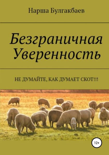 Обложка книги  «Безграничная Уверенность»