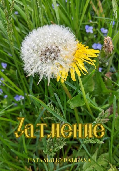 Обложка книги  «Затмение»