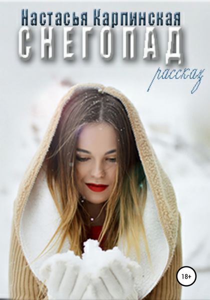 Обложка книги  «Снегопад»