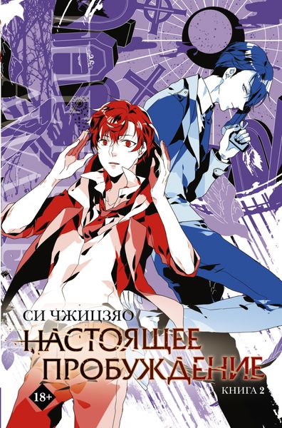 Обложка книги  «Настоящее пробуждение. Real Awakening. Книга 2»