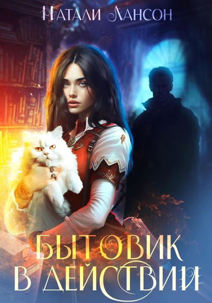 Обложка книги  «Бытовик в действии»