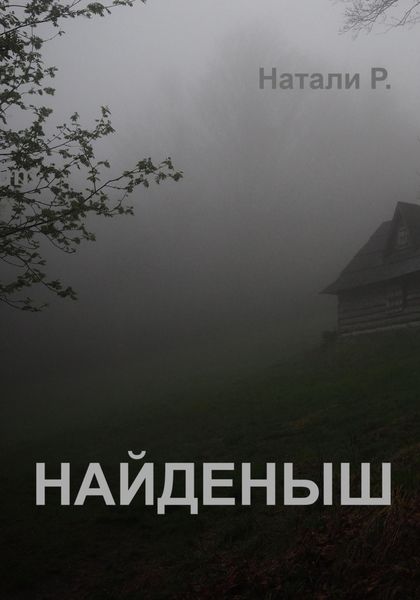 Обложка книги  «Найденыш»