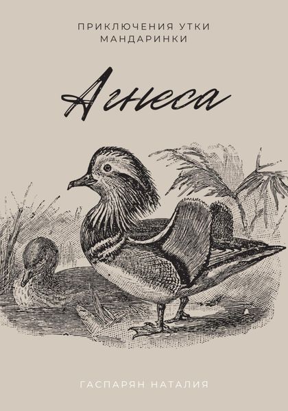 Обложка книги  «Агнеса»
