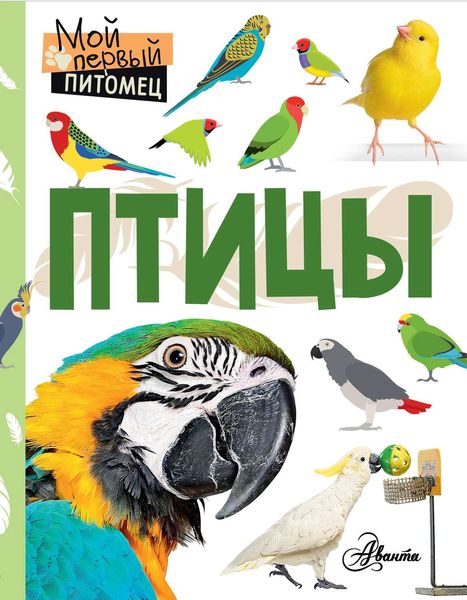 Обложка книги  «Птицы»