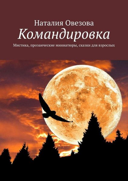 Обложка книги  «Командировка. Мистика, прозаические миниатюры, сказки для взрослых»