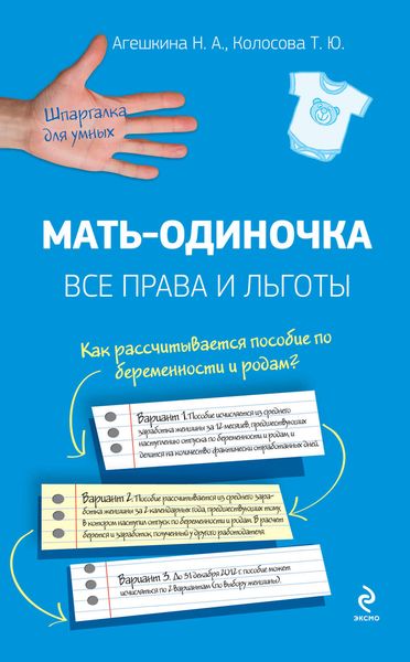 Обложка книги «Мать-одиночка: все права и льготы»