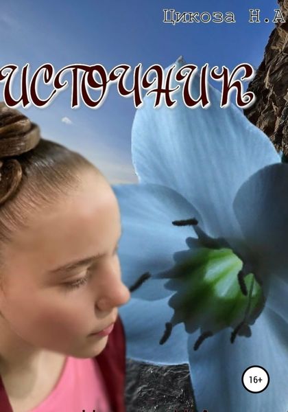 Обложка книги  «Источник»
