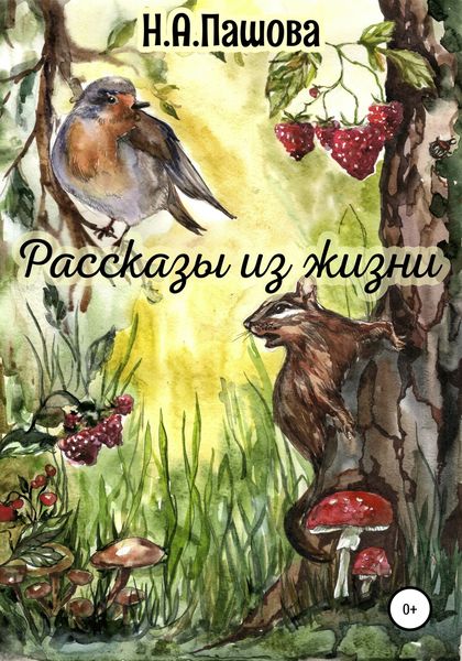 Обложка книги «Рассказы из жизни»