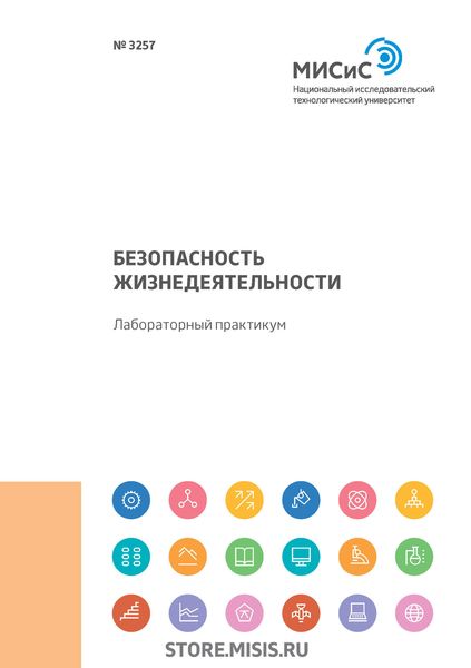 Обложка книги «Безопасность жизнедеятельности. Лабораторный практикум. Работы 9-14»