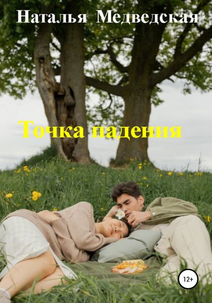 Обложка книги  «Точка падения»