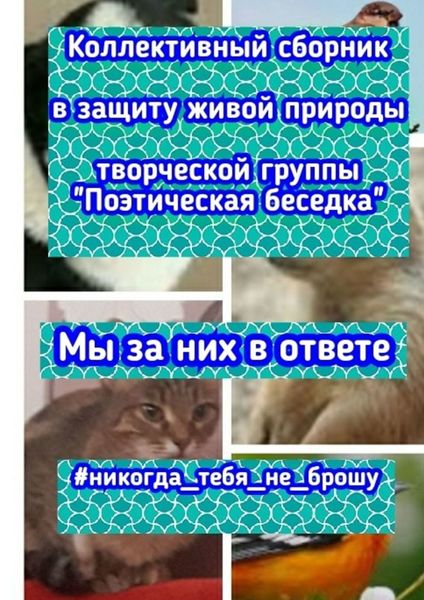 Обложка книги  «Мы за них в ответе»