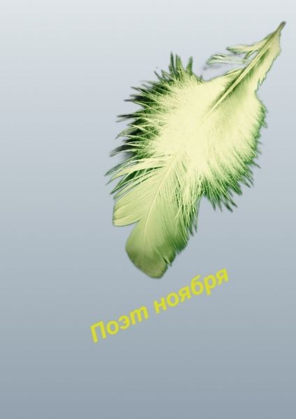 Обложка книги  «Поэт ноября»