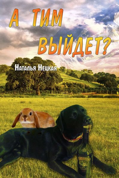 Обложка книги «А Тим выйдет?»