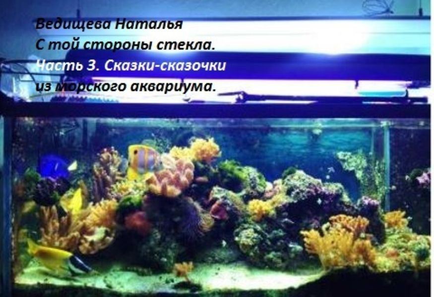 Обложка книги «Сказки-сказочки»