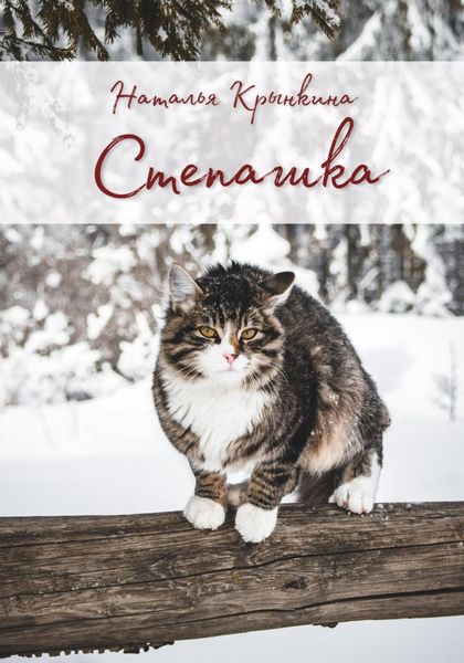 Обложка книги «Степашка»