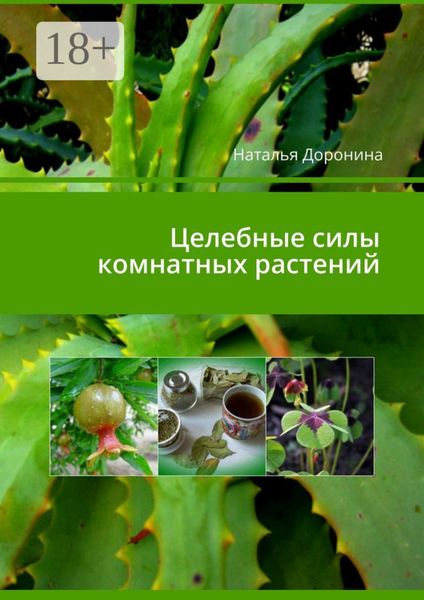 Обложка книги «Целебные силы комнатных растений»