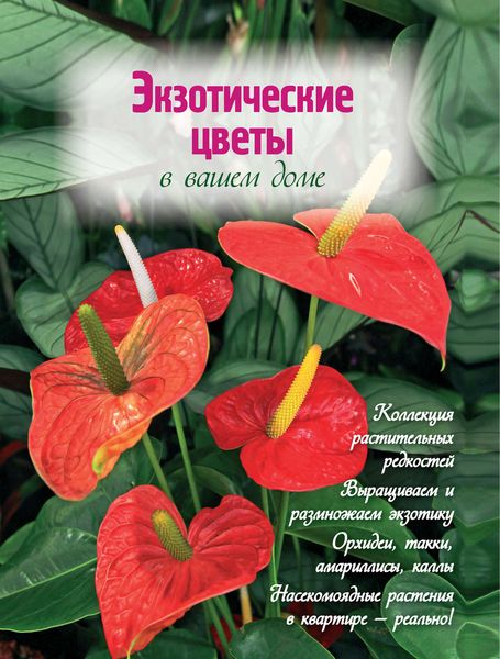 Обложка книги  «Экзотические цветы в вашем доме»
