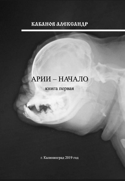 Обложка книги  «Арии – начало. Книга 1»