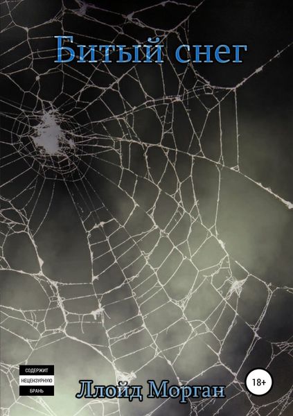 Обложка книги  «Битый снег»