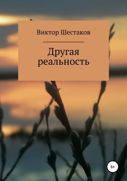 Обложка книги  «Другая реальность»