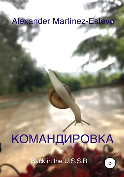 Обложка книги  «Командировка»