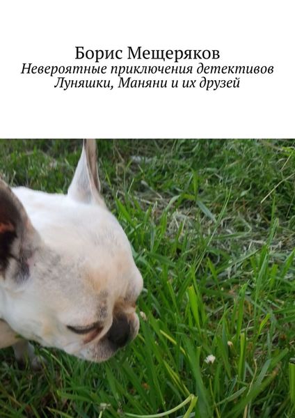 Обложка книги  «Невероятные приключения детективов Луняшки, Маняни и их друзей»