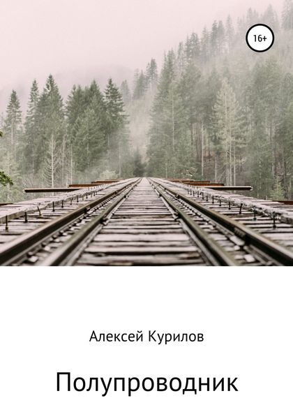 Обложка книги  «Полупроводник»