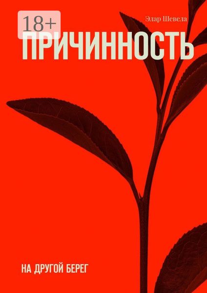 Обложка книги  «Причинность. На другой берег»