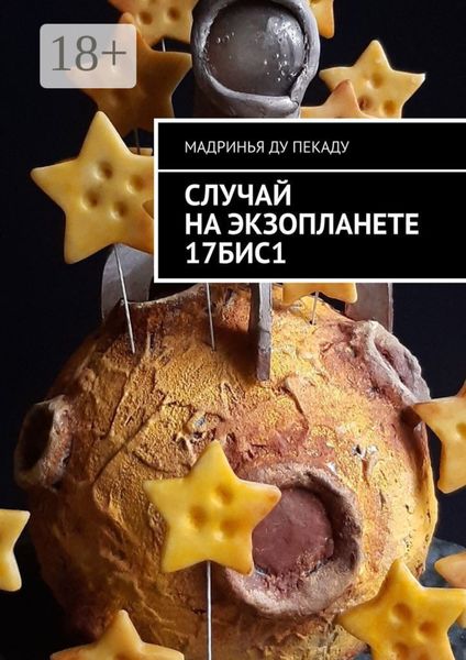 Обложка книги  «Случай на экзопланете 17БИС1»