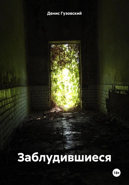 Обложка книги  «Заблудившиеся»